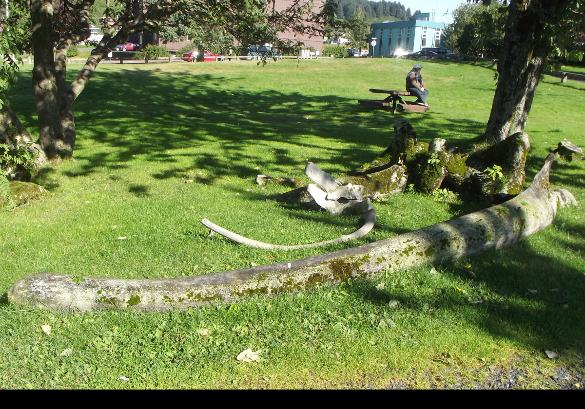Ancient bones lying around outside the Baranov Museum. I believe they are whale bones.