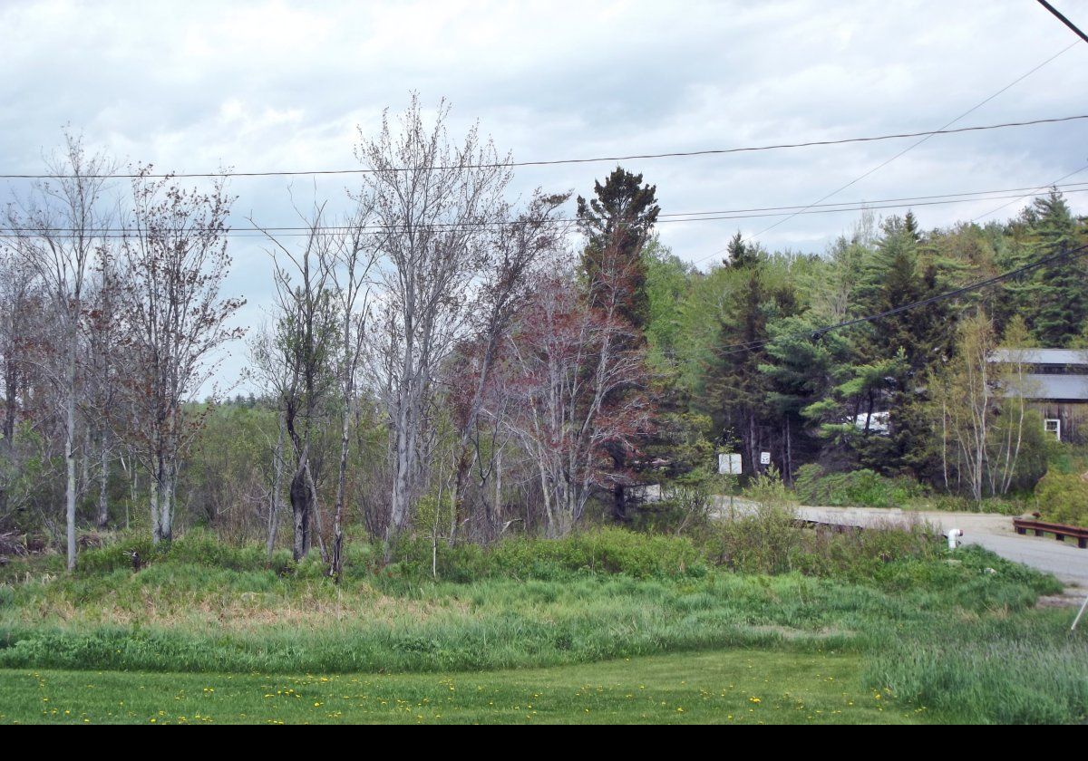The property extends to about 68 ha (167 acres), of which about 40 ha (100 acres), is woodland.