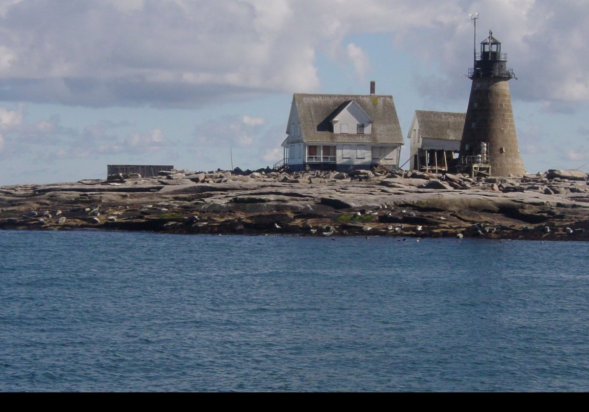 A post-hurricane picture with some of the many seals that visit the island.