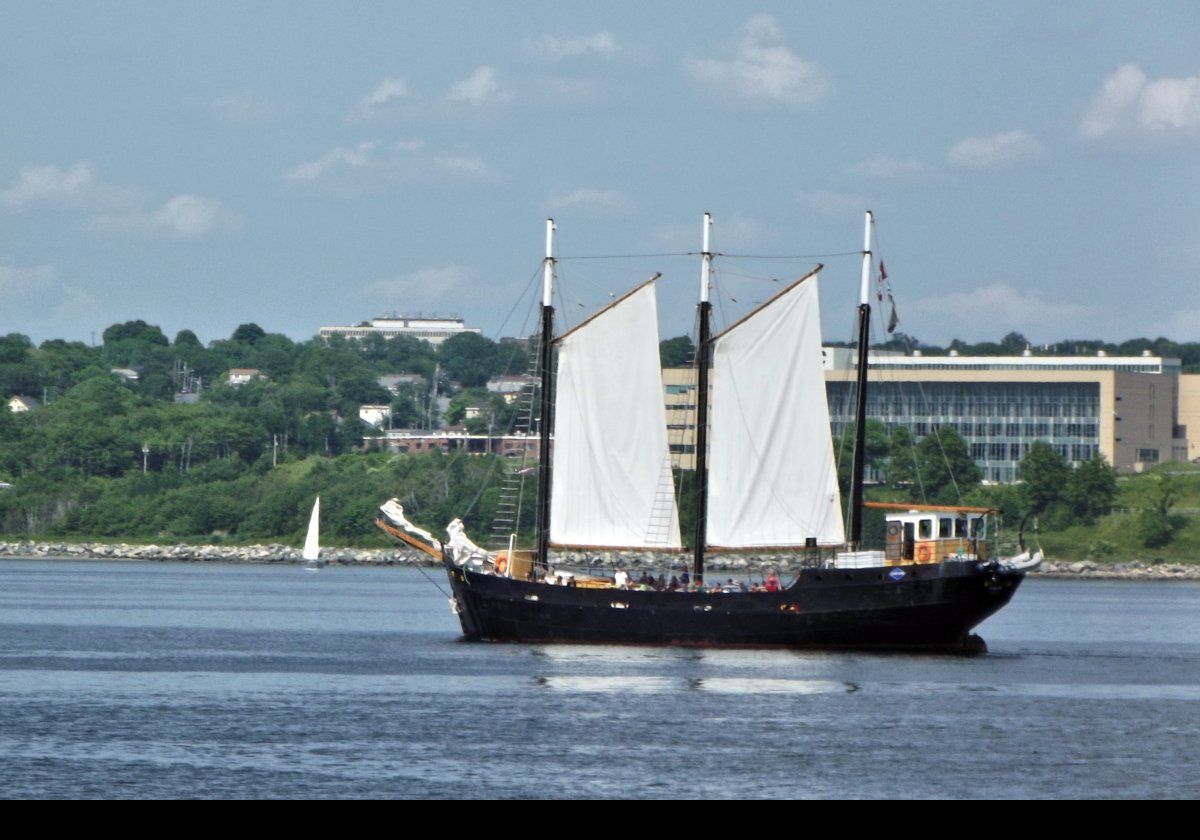 The Tall Ship Silva, a schooner run by Ambassatours Gray Line, setting out in Halifax harbor.