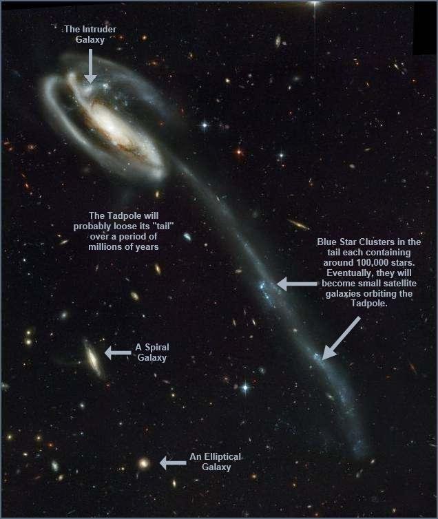 Tadpole Galaxy