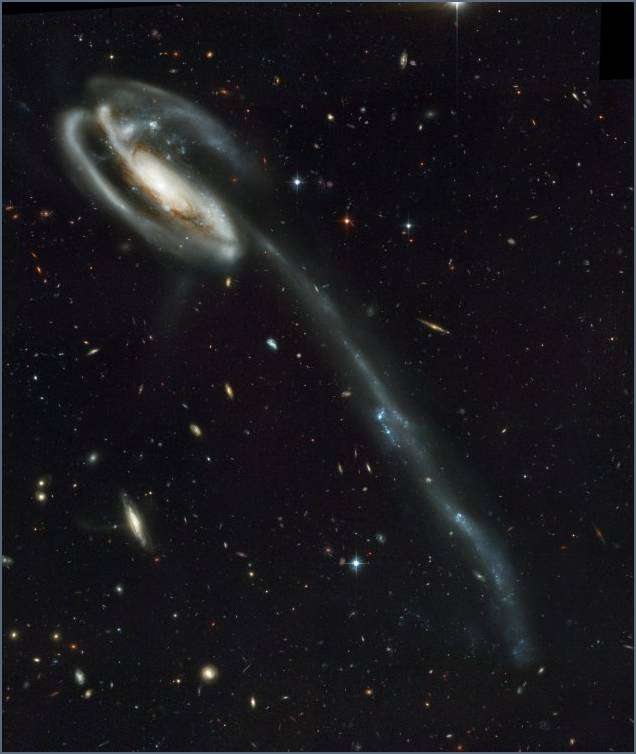 Tadpole Galaxy